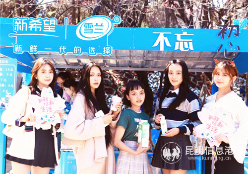 圖片8_副本 圖片8_副本