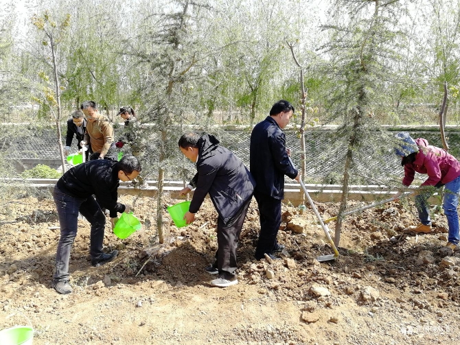 IMG_20190322_111542 IMG_20190322_111542