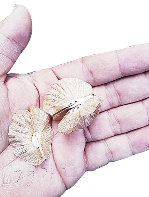 00300501138_a288d31a 00300501138_a288d31a