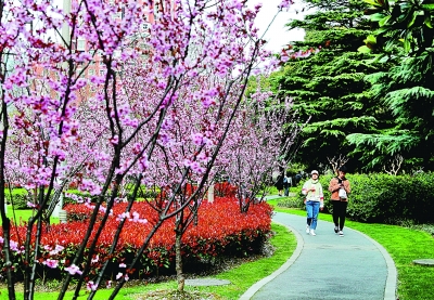 上海：貫通城市綠色動(dòng)脈 構(gòu)建都市綠色網(wǎng)絡(luò)