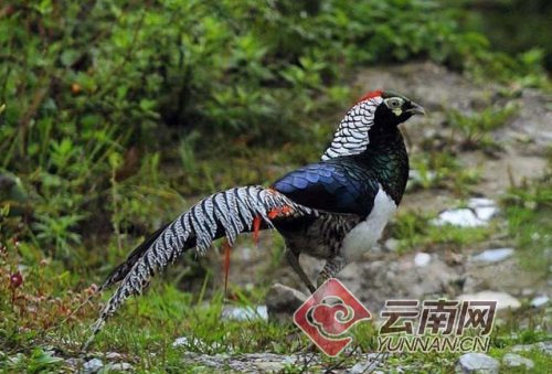 00300505947_37e169d0 00300505947_37e169d0