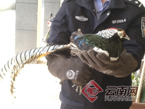 00300505950_67d2668d 00300505950_67d2668d