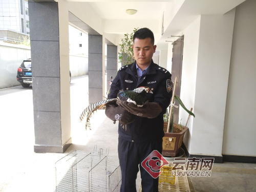 00300505949_d3d9e8f8 00300505949_d3d9e8f8