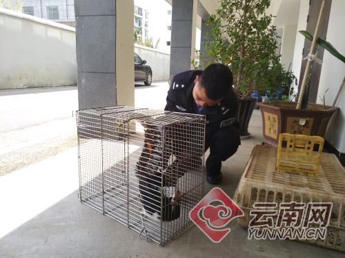 00300505948_6725d908 00300505948_6725d908