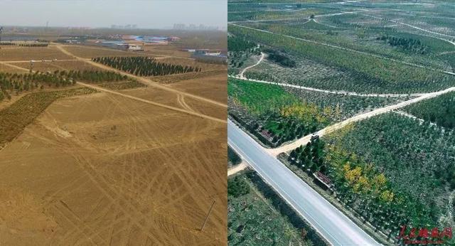 雄安，變了！