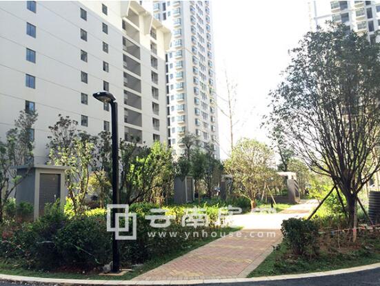 20190330090801_658 20190330090801_658