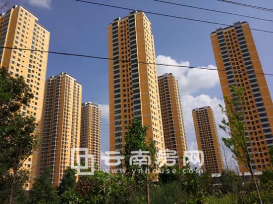 20190330090847_907 20190330090847_907