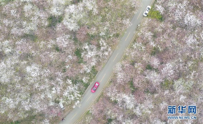 1124292161_15536908186121n 1124292161_15536908186121n