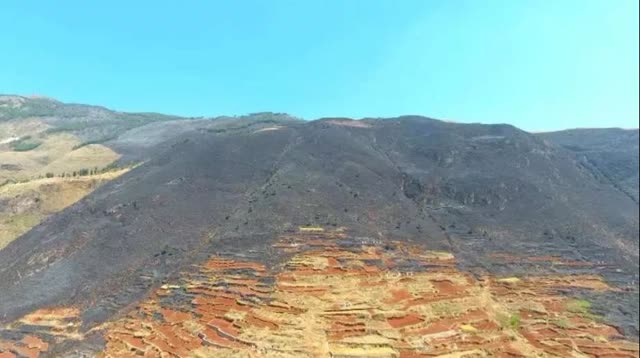 4天內，曲靖多地發(fā)生山林火災4