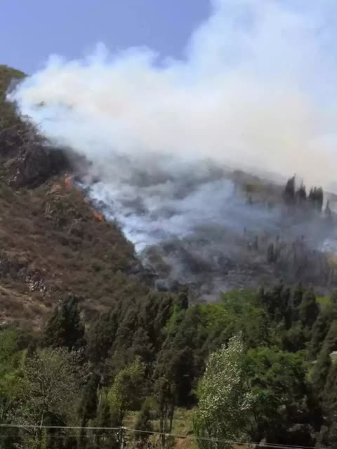 4天內，曲靖多地發(fā)生山林火災6