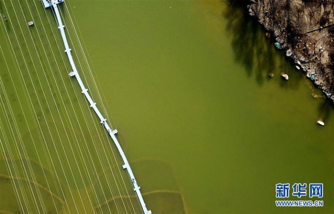 1210094176_15539313388471n 1210094176_15539313388471n