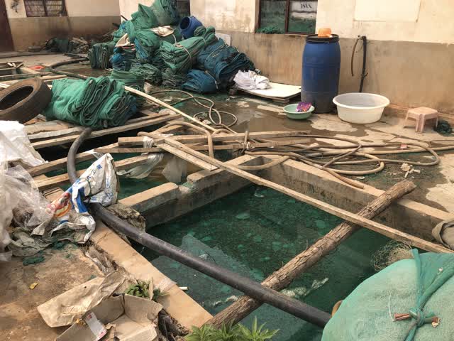 普吉街道“哨響”一聲 轄區(qū)內(nèi)12家違法排污作坊成功關(guān)停 (7)