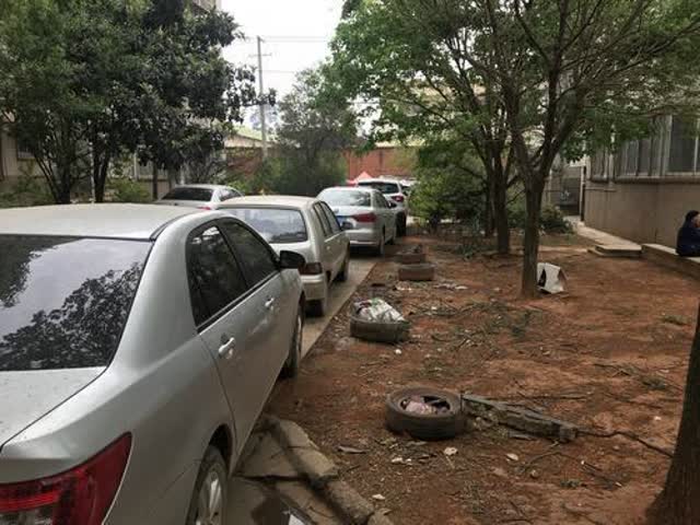 又是車又是雞還有人亂堆雜物4