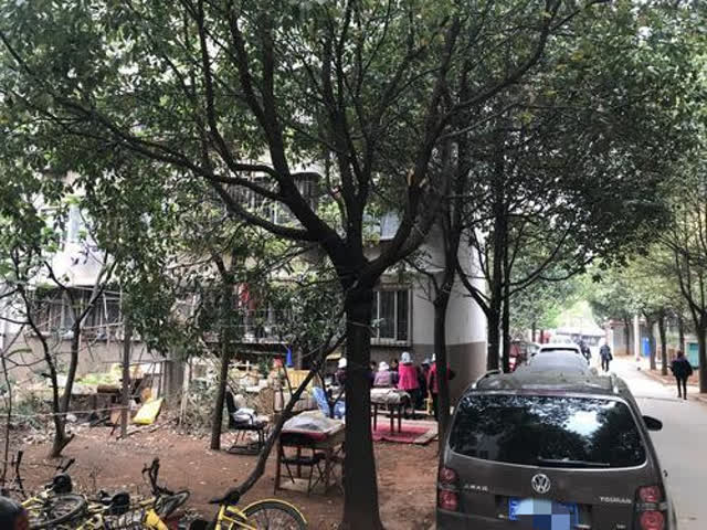 又是車又是雞還有人亂堆雜物1_副本