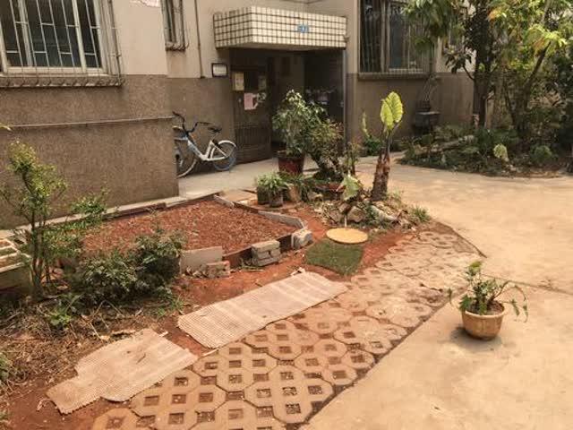 又是車又是雞還有人亂堆雜物2