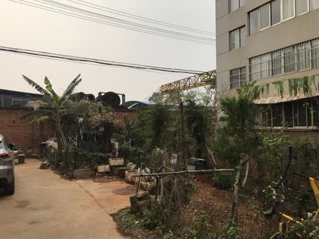 又是車又是雞還有人亂堆雜物3