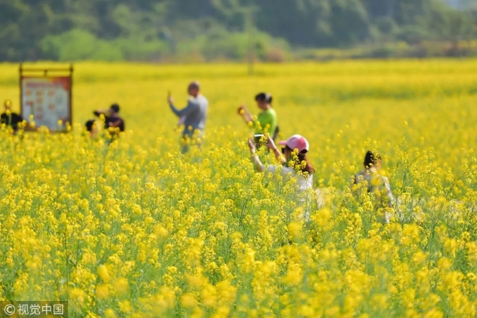 640.webp (43) 640.webp (43)