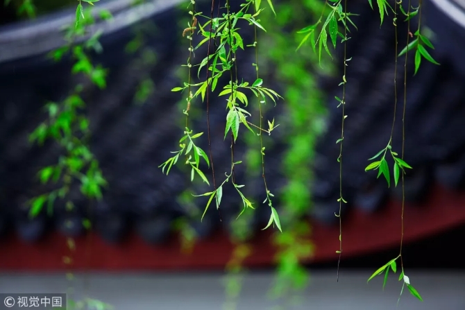 640.webp (46) 640.webp (46)