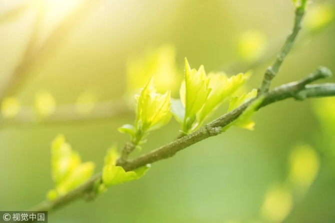 640.webp (51) 640.webp (51)