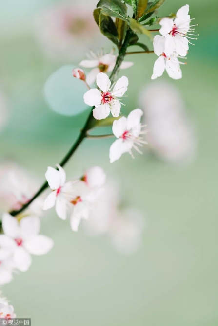 640.webp (52) 640.webp (52)