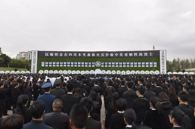 640.webp (54) 640.webp (54)