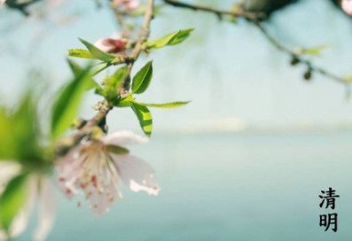 【地評線】清明，思時之敬傳統(tǒng)之節(jié)