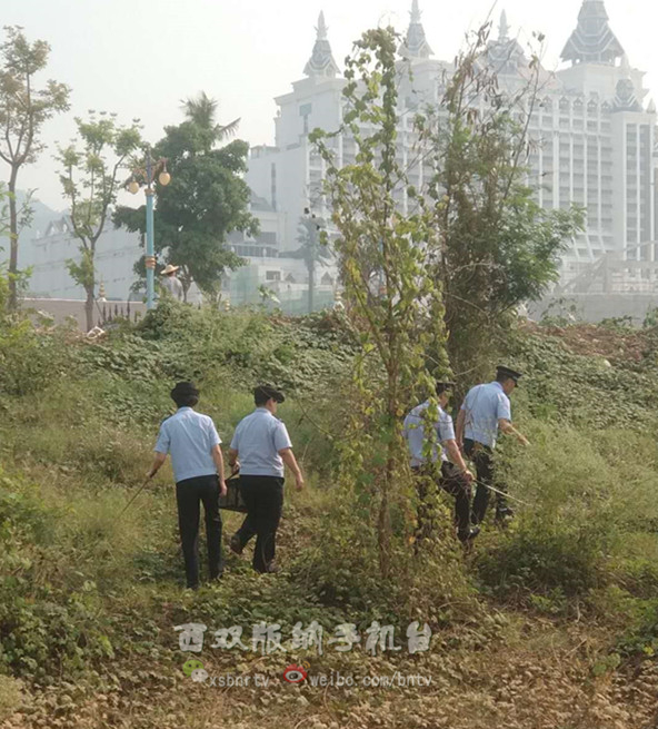 00300524881_d0f43d8c 00300524881_d0f43d8c