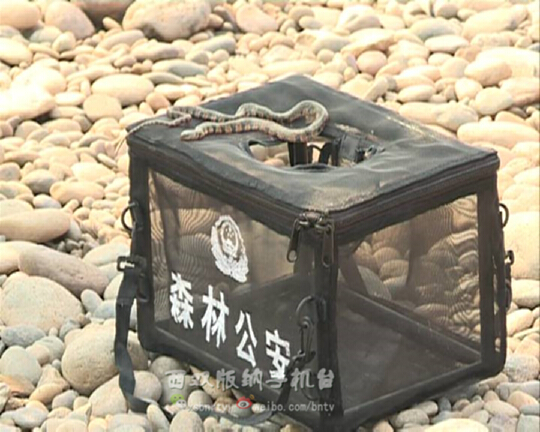 00300524883_719f9e25 00300524883_719f9e25