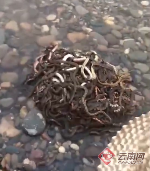 00300526991_79abb57b 00300526991_79abb57b