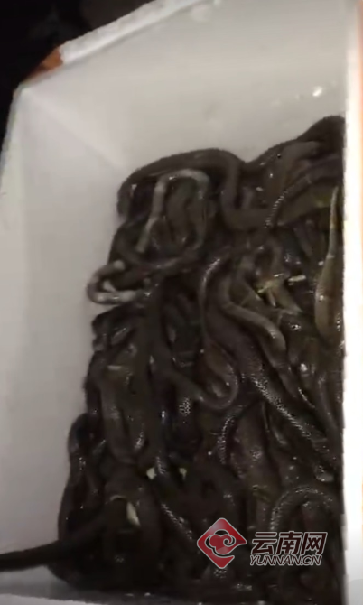 00300526992_e989f0d9 00300526992_e989f0d9