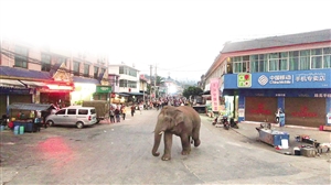 20190408A09_res12_attpic_icon 20190408A09_res12_attpic_icon