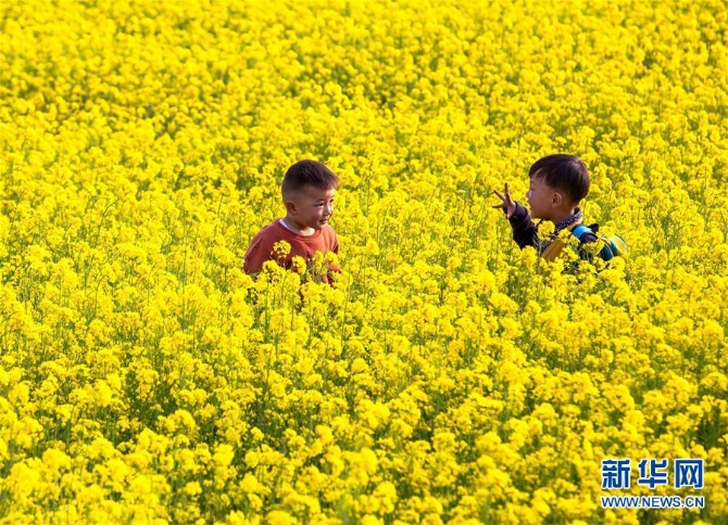 1124335760_15546442004741n 1124335760_15546442004741n