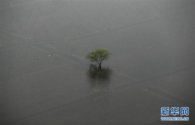 1210101838_15546379521001n 1210101838_15546379521001n