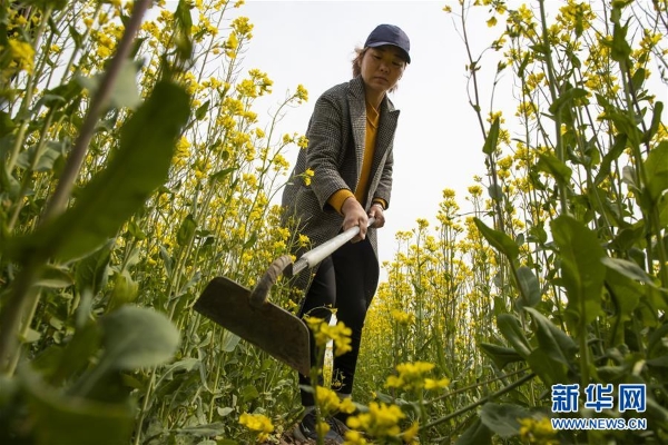 1124340747_15547295180241n 1124340747_15547295180241n