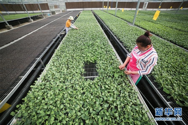 1124340747_15547295180561n 1124340747_15547295180561n