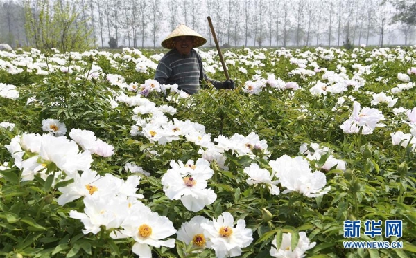 1124340747_15547295180941n 1124340747_15547295180941n