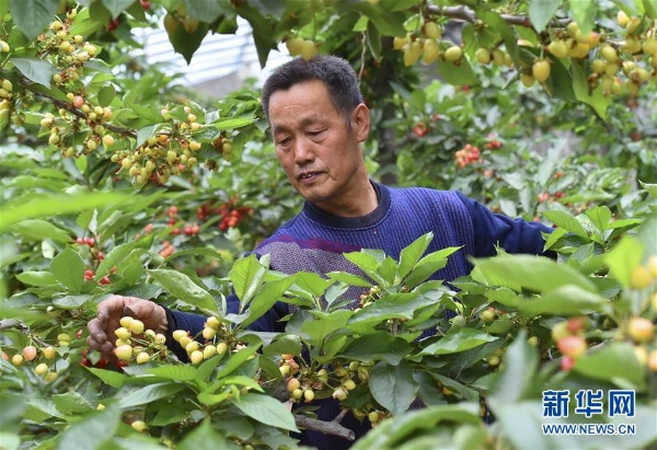 1124340747_15547295181251n 1124340747_15547295181251n