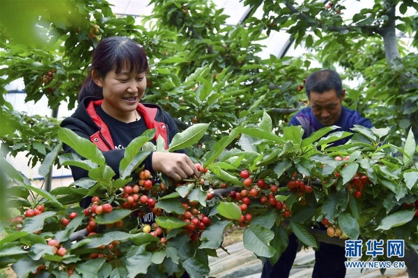 1124340747_15547295182541n 1124340747_15547295182541n