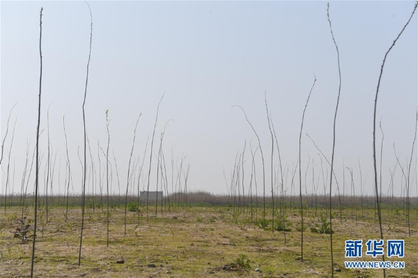 1124340727_15547286405331n 1124340727_15547286405331n