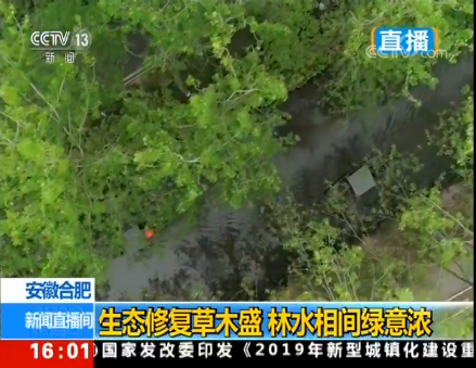 微信截圖_20190409174737