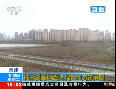 微信截圖_20190409175017