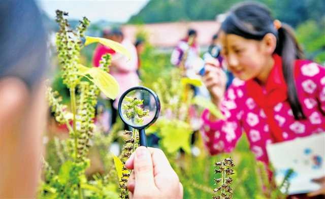 青青金佛山 呦呦福南川