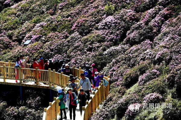 XxjpsgC001632_TPPFN1A001