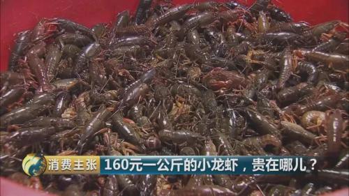 全民出動，遠(yuǎn)赴云南搶小龍蝦！160元一公斤都擠破頭，究竟為蝦米？