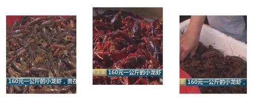 全民出動，遠(yuǎn)赴云南搶小龍蝦！160元一公斤都擠破頭，究竟為蝦米？