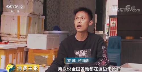 全民出動，遠(yuǎn)赴云南搶小龍蝦！160元一公斤都擠破頭，究竟為蝦米？