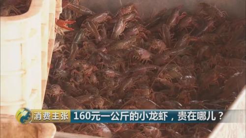 全民出動，遠(yuǎn)赴云南搶小龍蝦！160元一公斤都擠破頭，究竟為蝦米？