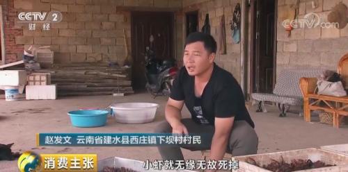 全民出動，遠(yuǎn)赴云南搶小龍蝦！160元一公斤都擠破頭，究竟為蝦米？