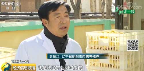 【春耕走一線】產(chǎn)量高更要品質(zhì)好 水禽自主育種前景廣闊