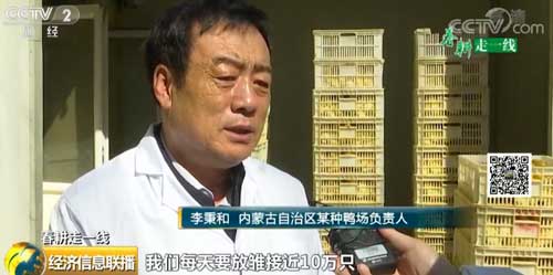 【春耕走一線】產(chǎn)量高更要品質(zhì)好 水禽自主育種前景廣闊